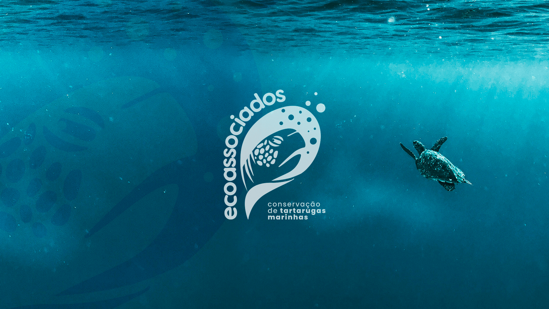 ECOASSOCIAODS 01-min