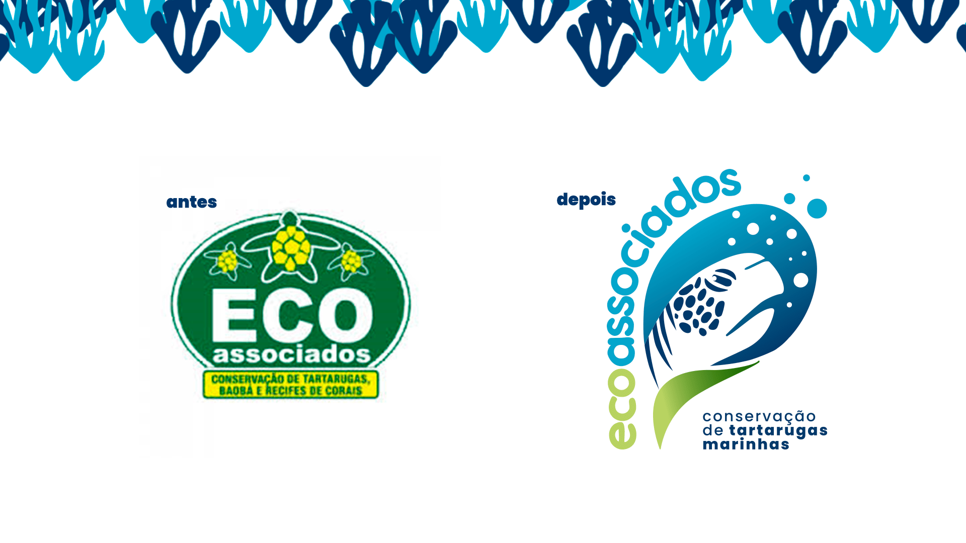 ECOASSOCIAODS 05-min