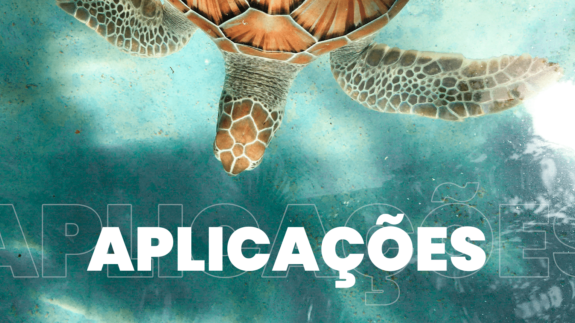 ECOASSOCIAODS 11-min