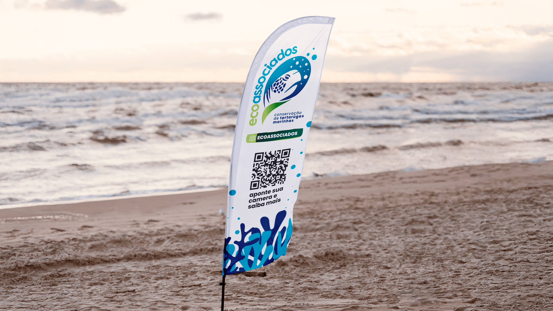 ECOASSOCIAODS 13-min