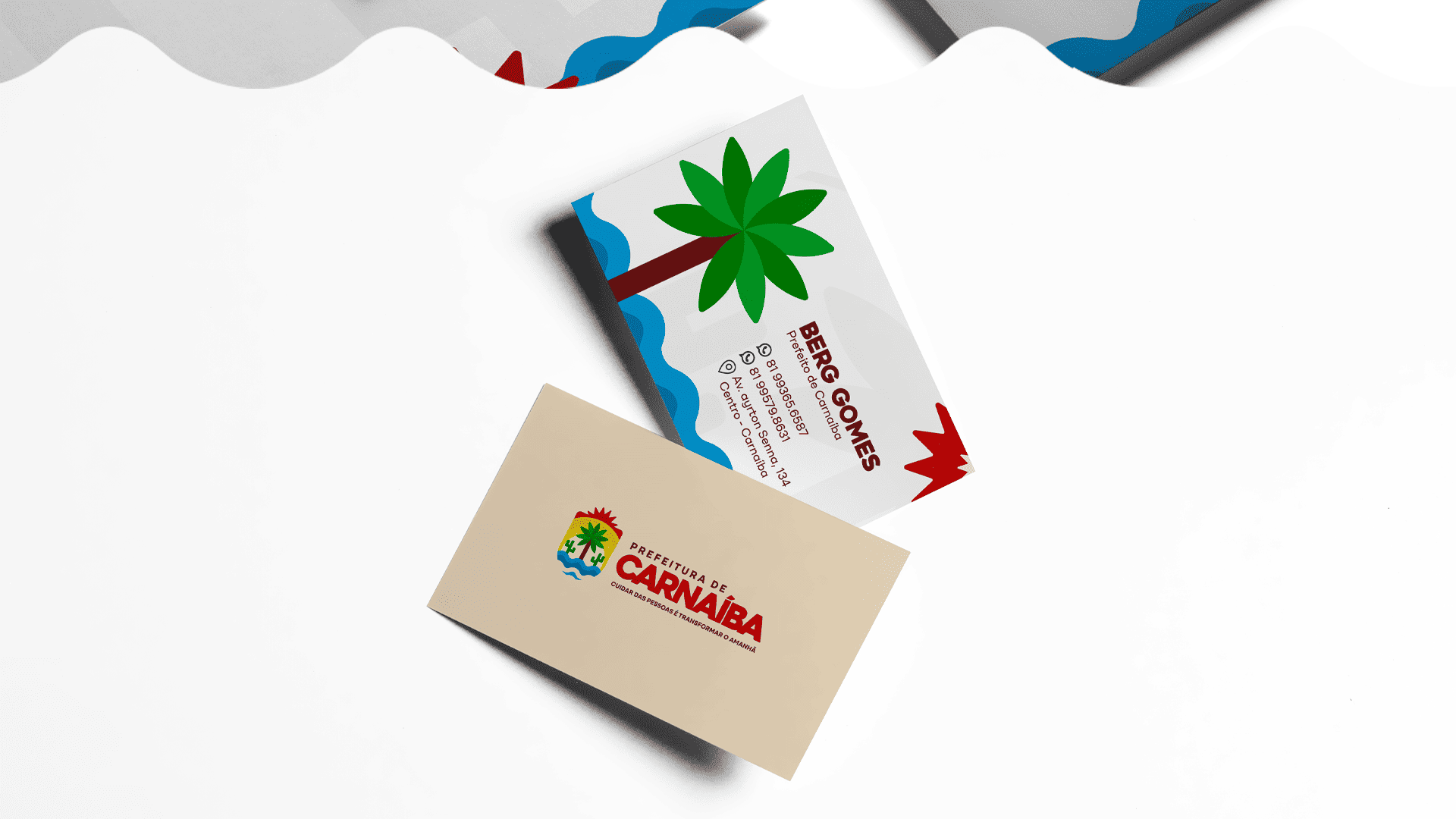 PREFEITURA DE CARNAÍBA 15