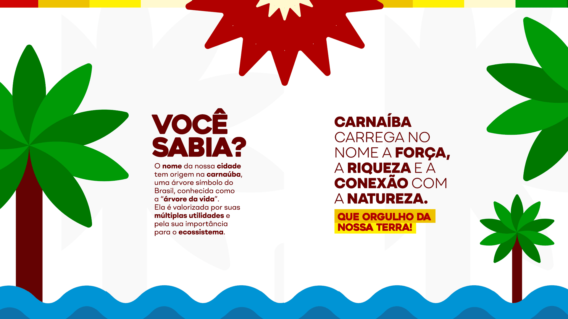 PREFEITURA DE CARNAÍBA 202